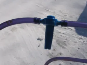 Plastic maple sap tubing attached to a tap on a sugar maple