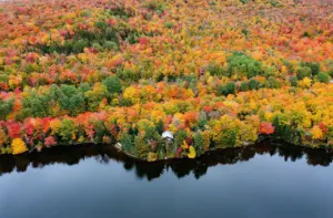 Fall foliage along Norton Pond in the Northeast Kingdom of Vermont