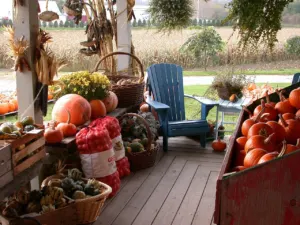 Fall harvest produce at Harlow's Farm Stand in Westminster, Vermont
