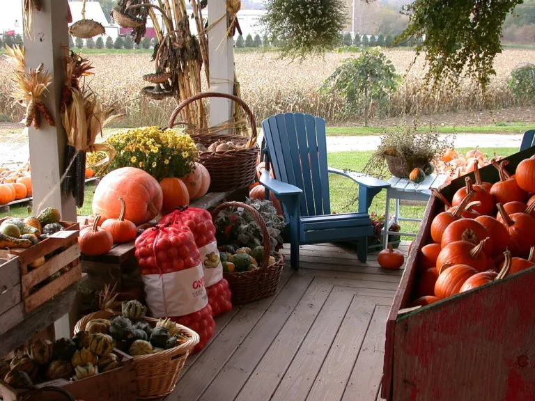 Fall harvest produce at Harlow's Farm Stand in Westminster, Vermont