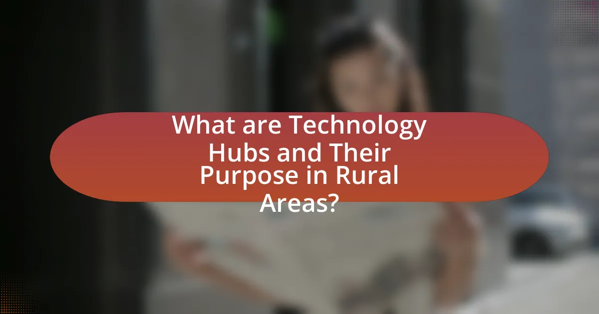 What are Technology Hubs and Their Purpose in Rural Areas?